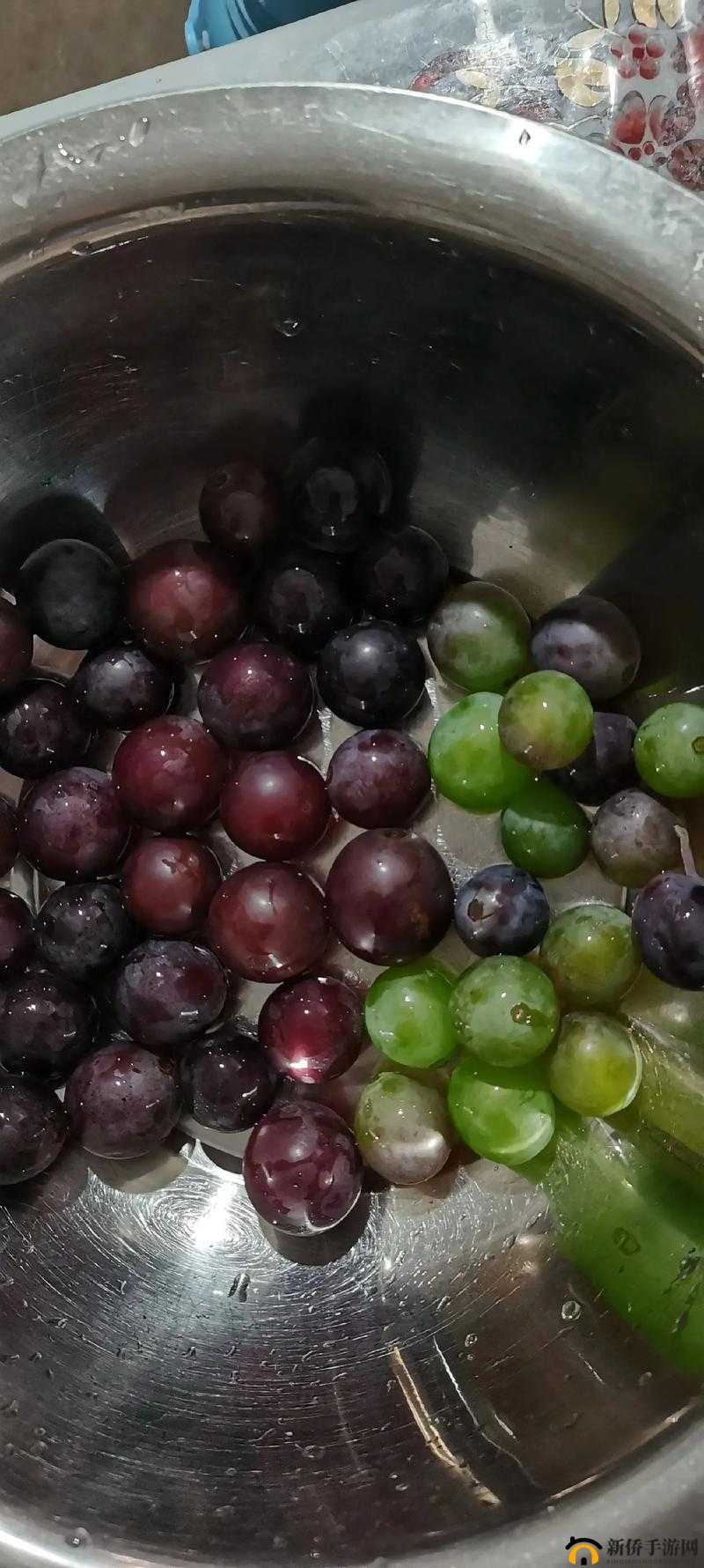 葡萄不准掉出来晚上检查：关乎重要任务的严格要求