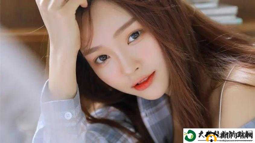 老周张琳公交车分类完善成为一匹黑马-其背后的故事与发展历程