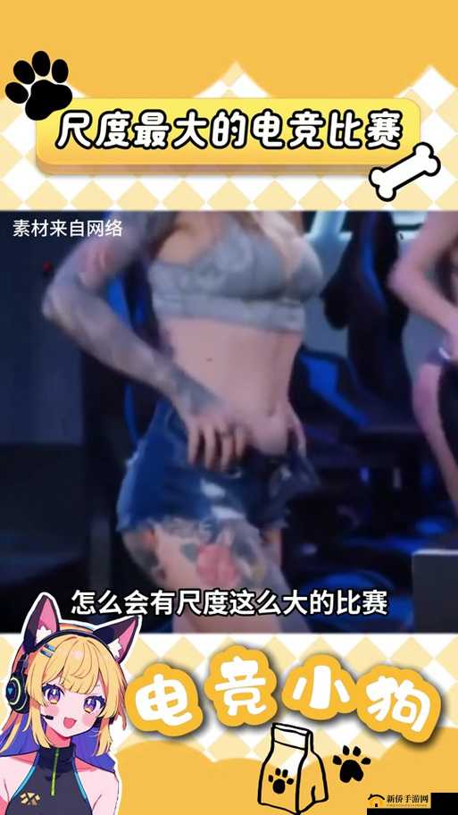 俄罗斯女 CSGO ：华丽操作与热血竞技之旅