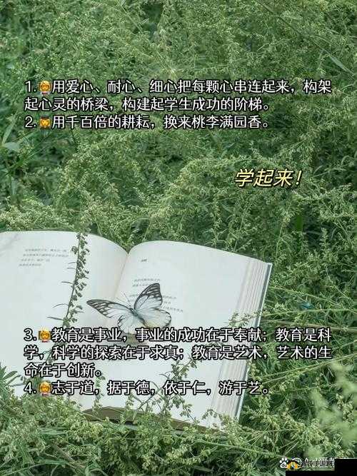 随时随地都能干的学校教师的作用：对学生成长及教育事业发展的重要意义