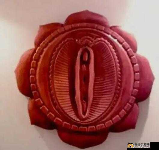 1982 年肉莲花：一段被遗忘的历史记忆与独特文化现象探讨