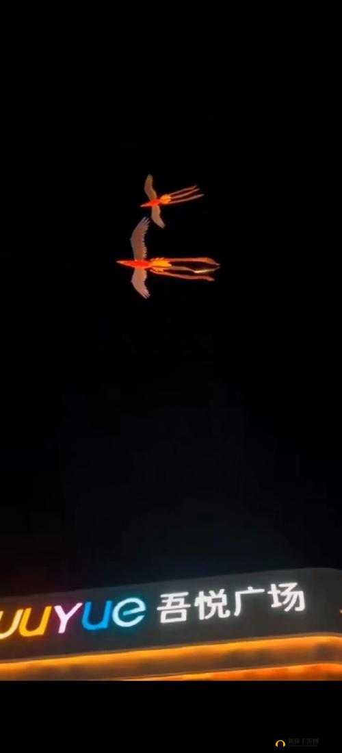 凤凰直播：带来全方位精彩内容呈现与深度互动体验