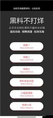 万篇长征-黑料不打烊 2024 背后的真相探寻