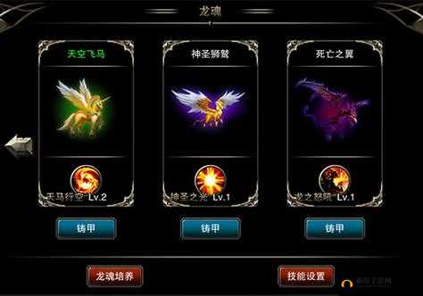 王者之剑深度解析，龙魂铸甲属性提升策略与全面玩法指南