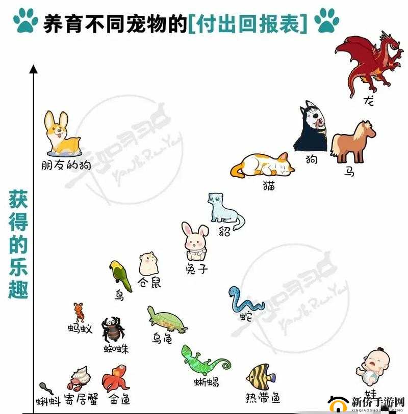 宠物养育技巧与伤害提升策略，一份全面的实战攻略指南