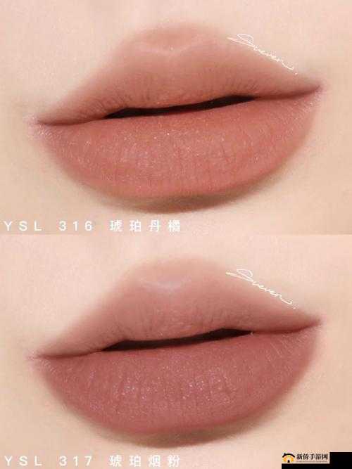 YSL 千色 T9T9T9 观看范围之详细解析与全面探讨