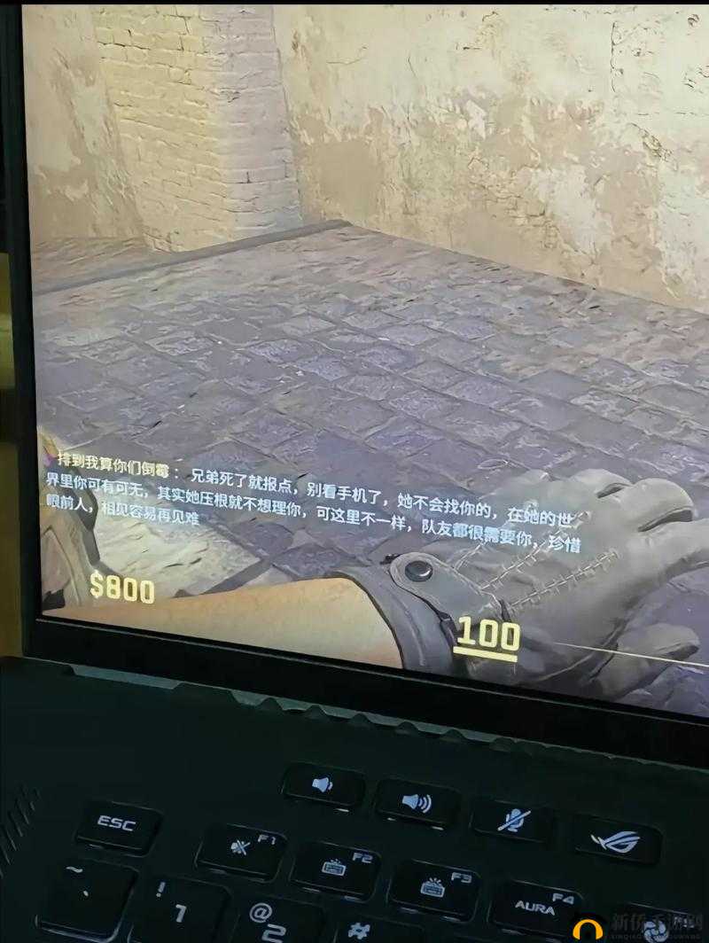 老婆不在家一个人寂寞CSGO：游戏世界中的孤独狂欢