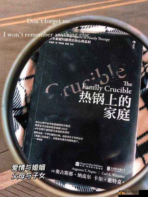 日本三十一岁上大学正常吗：探寻其背后的原因与影响