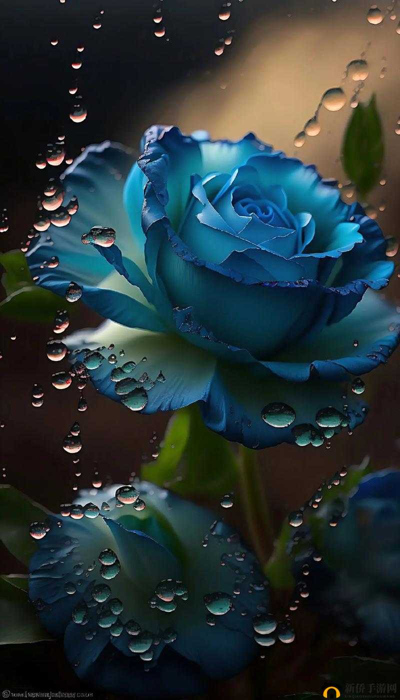 Windows 高清免费观看：带来前所未有的视觉盛宴