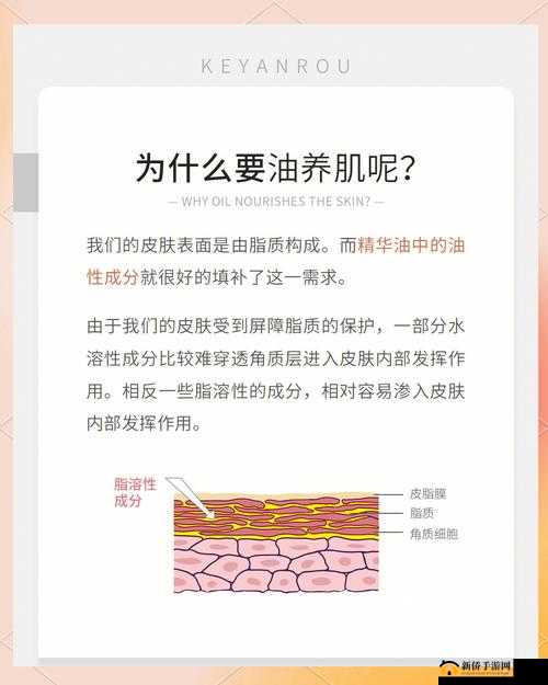 美肌秘密：特殊的精华油 4，焕发肌肤光彩