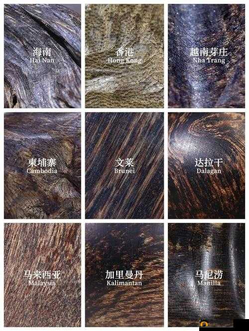 沉香一线产区和二线产区的区别：品质特性与市场价值差异剖析