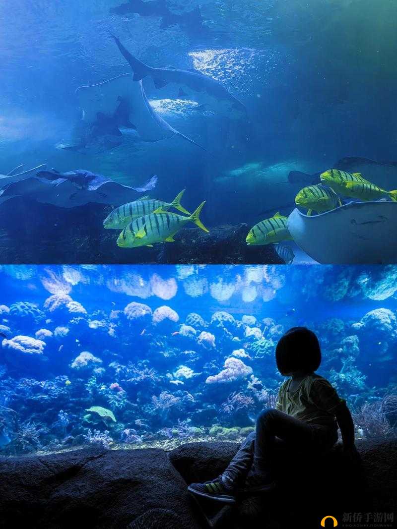 从后面是不是要紧一些呢？这其中的奥秘值得探究