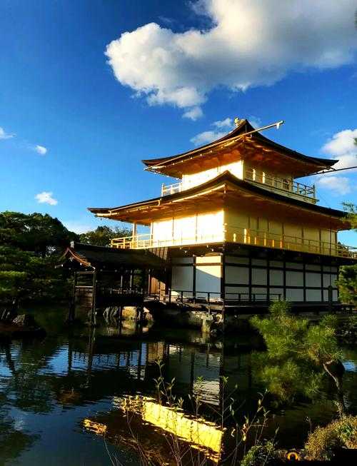 JAGNEXSMAX 在日本：深入探索其独特魅力与发展前景