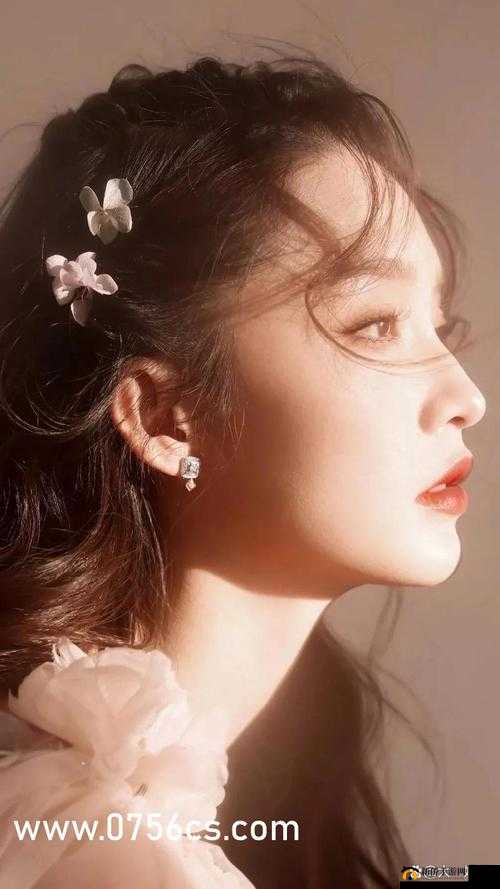 成品站 5668 入口：畅享丰富资源与便捷服务