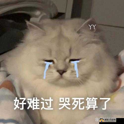 小哭包在晚风中被 1v2