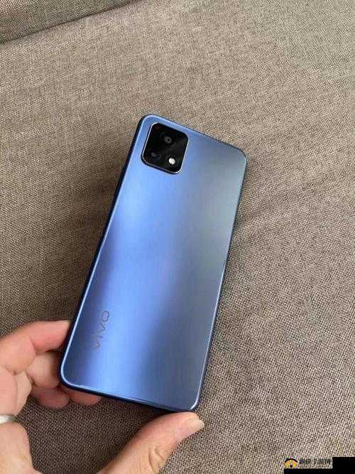 y31 成色好的：带来优质体验与可靠性能