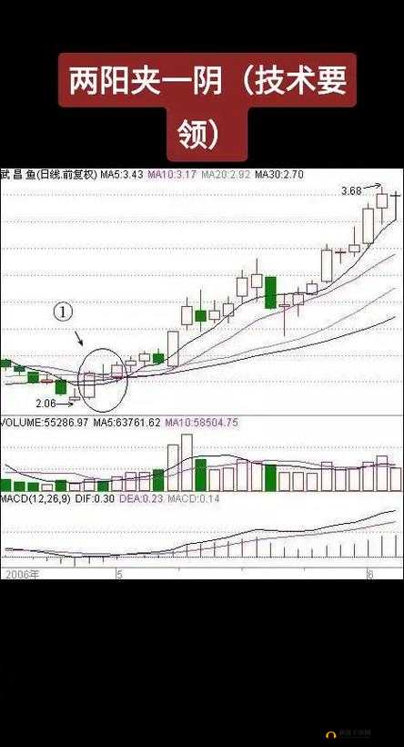 一阴吞两阳：详解及实战案例分析