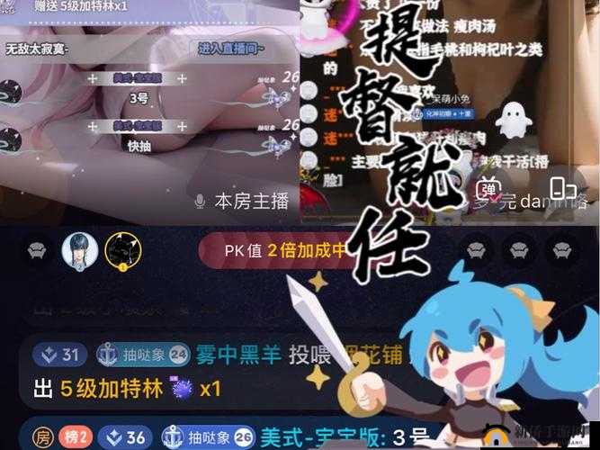 B站私人直播间：专属你的私密空间畅聊无限可能