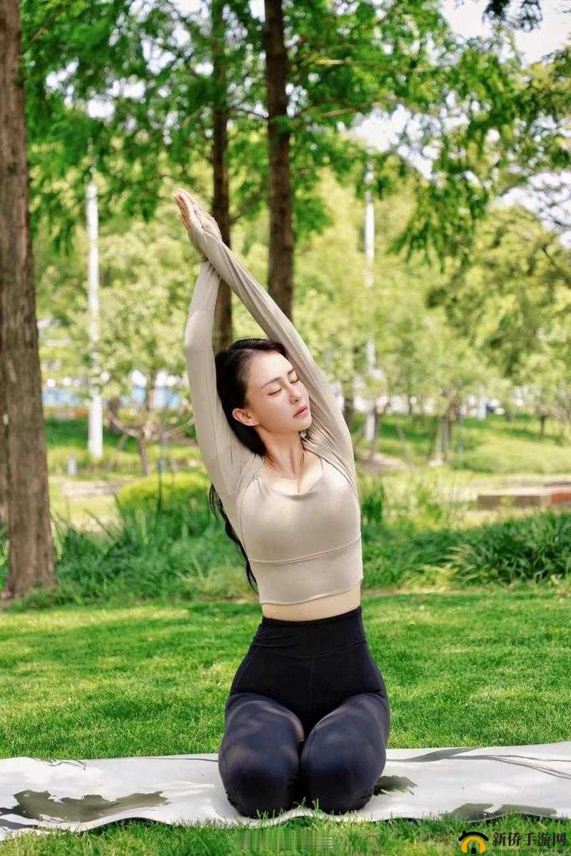 坐着轮流提双腿能起到什么效：探索其背后的健身奥秘