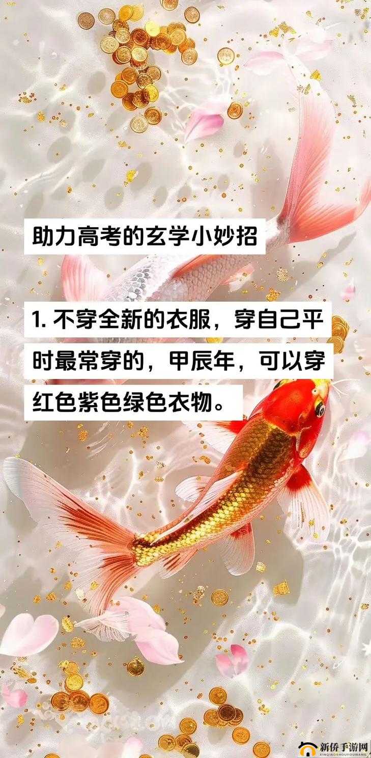 揭秘锦鲤好运来高分攻略，详细操作手法与技巧全面讲解