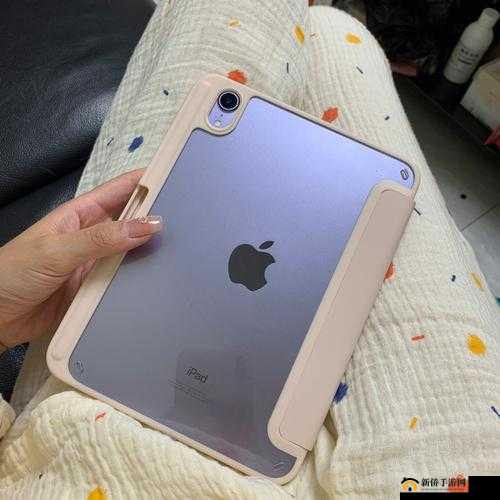 秘密入口 mini6 的安全保护据说开始限制出入了这一情况引发关注