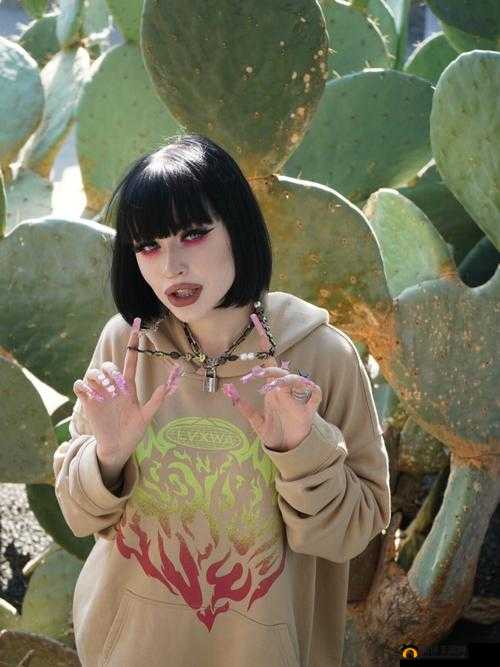 ZOOKEEPER 另类：独特视角下的别样精彩