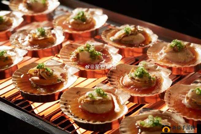 一人㖭上面㖭下感扇贝的独特体验与魅力