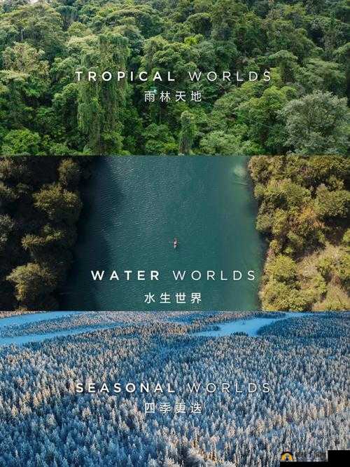 人马畜禽纪录片免费精彩呈现不容错过