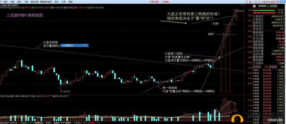 秒速萌兔，深入剖析战斗阶段管理策略，提升游戏竞技水平