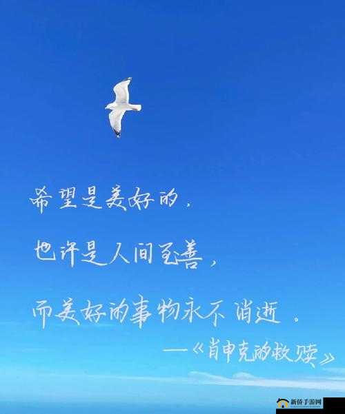 一只手刚好能握住的美好事物令人心动不已