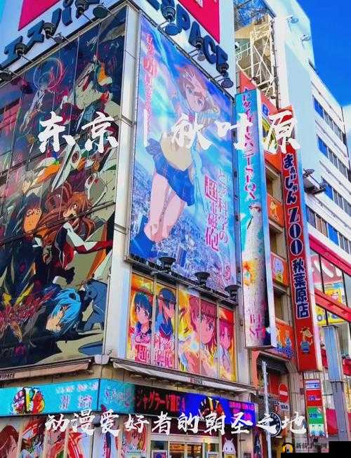 GOGOGO日本免费观看电视动漫：带你走进精彩二次元世界