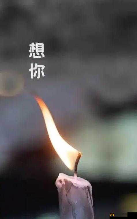 永久久：一段跨越时空的不朽传奇和璀璨人生