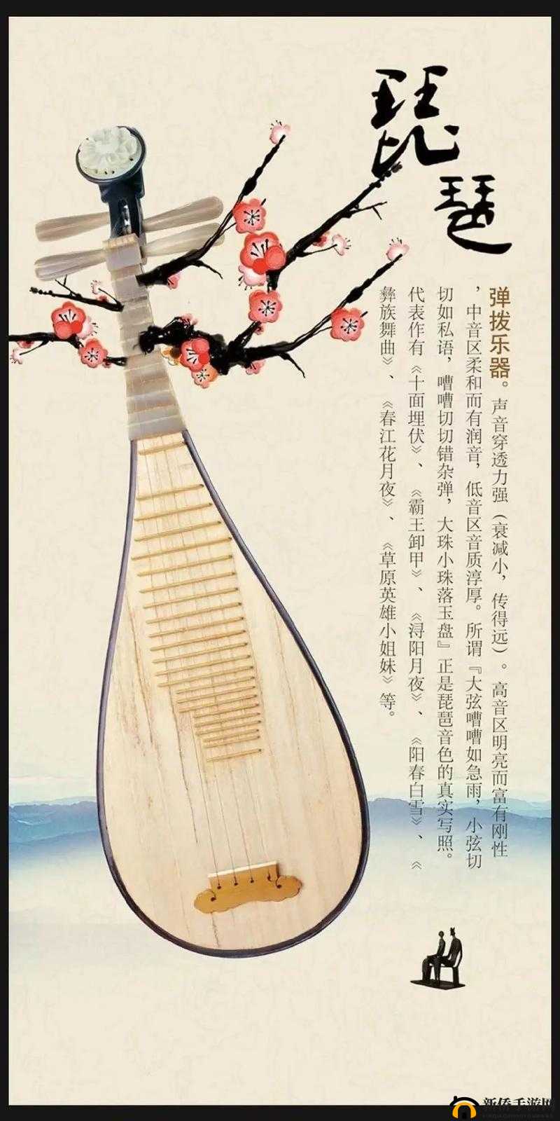 2025年春节前夕，探索琵琶艺术，传统韵味与梦幻旋律的交响