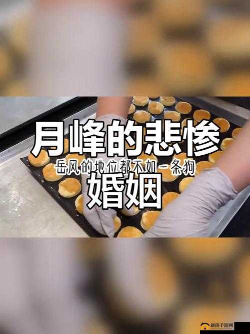 最终还是从了女婿岳风：无奈之下的妥协抉择