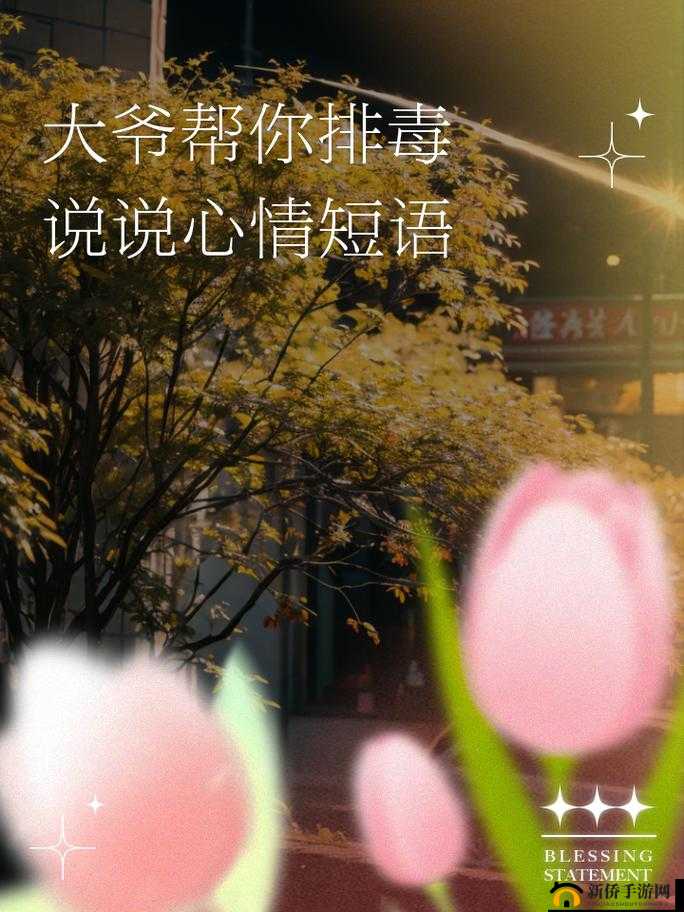 让大爷再帮你排毒：一场奇妙的奇幻之旅