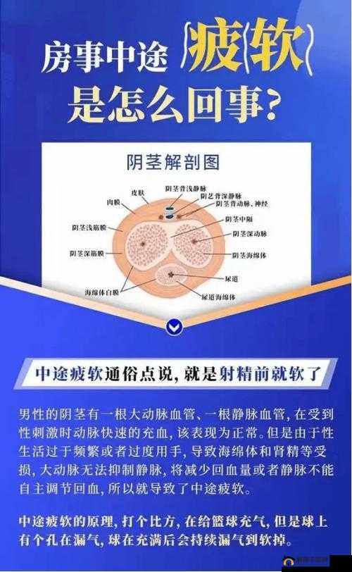 行房中途软了究竟是何缘由