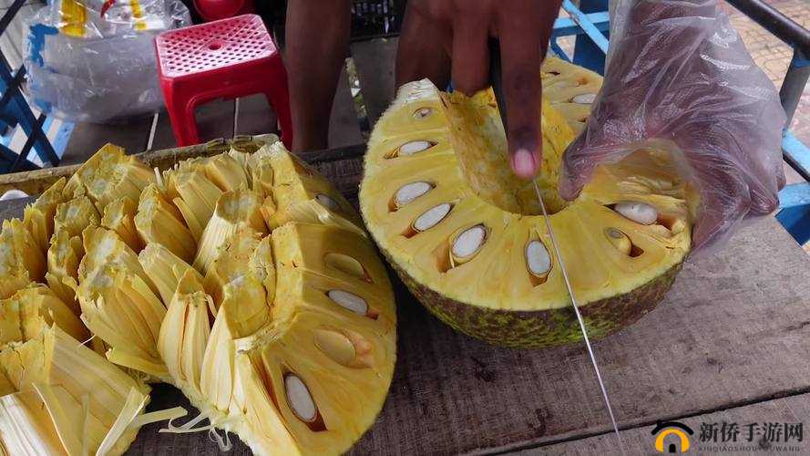 菠萝菠萝蜜在线视频观看播放：带你体验精彩的视频世界