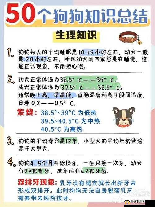 老公不在家，狗狗的东西能要吗？：探讨宠物物品的归属与处理