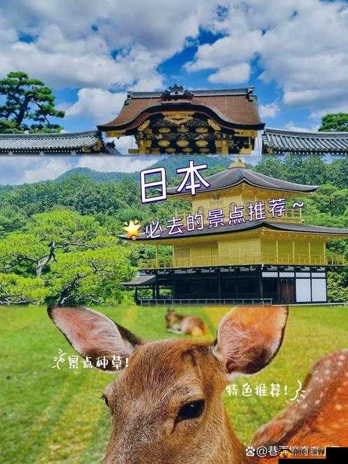 日本大一大二大三在一起读吗：这在日本高校是怎样的一种情况呢