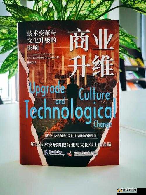 欧洲卡 2 卡 3 卡国产乱码：一场跨越文化与技术的挑战