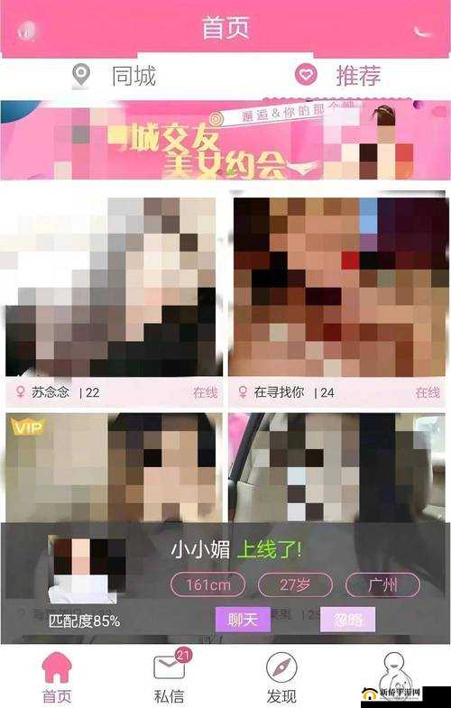 黄金网站 APP 在线观看下载视频大全官网，无广告弹窗，每日更新