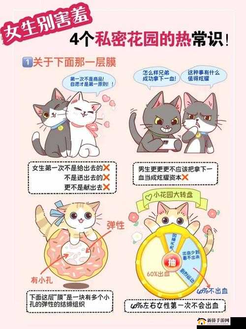 六年级女生隐私：笔可塞几支的秘密探讨