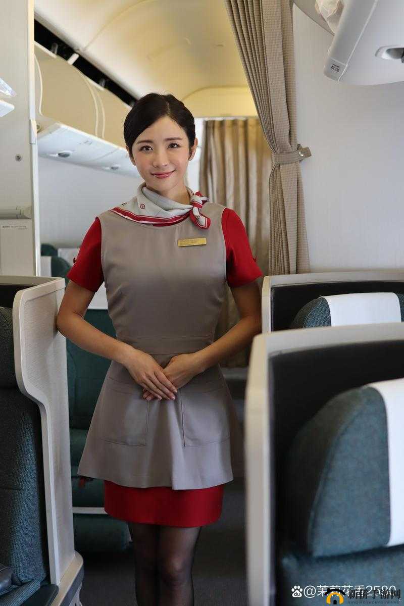 呆哥 178 空姐：神秘空中之旅的别样故事