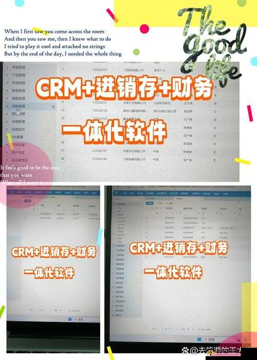 国内永久免费 CRM 系统破解版：功能强大的企业管理神器