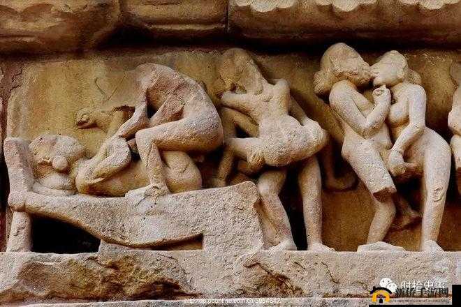 印度人性 69 背后的神秘与复杂探究