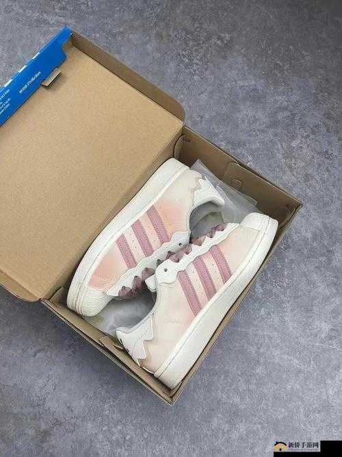 三叶草 gw6181：一款独具特色的优质产品介绍