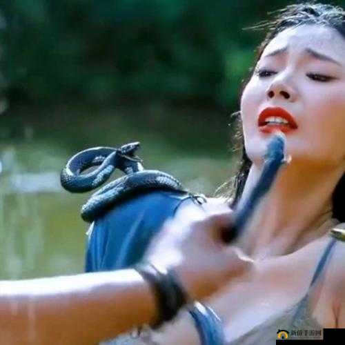 亚洲无码大片：震撼视觉的激情盛宴