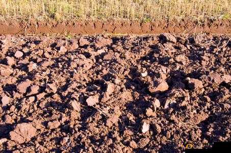 开垦母亲肥沃的土地教案如何编写之详细步骤与要点解析