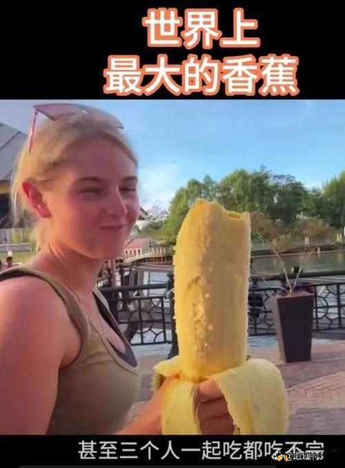 大香焦伊人网：带你领略精彩成人世界