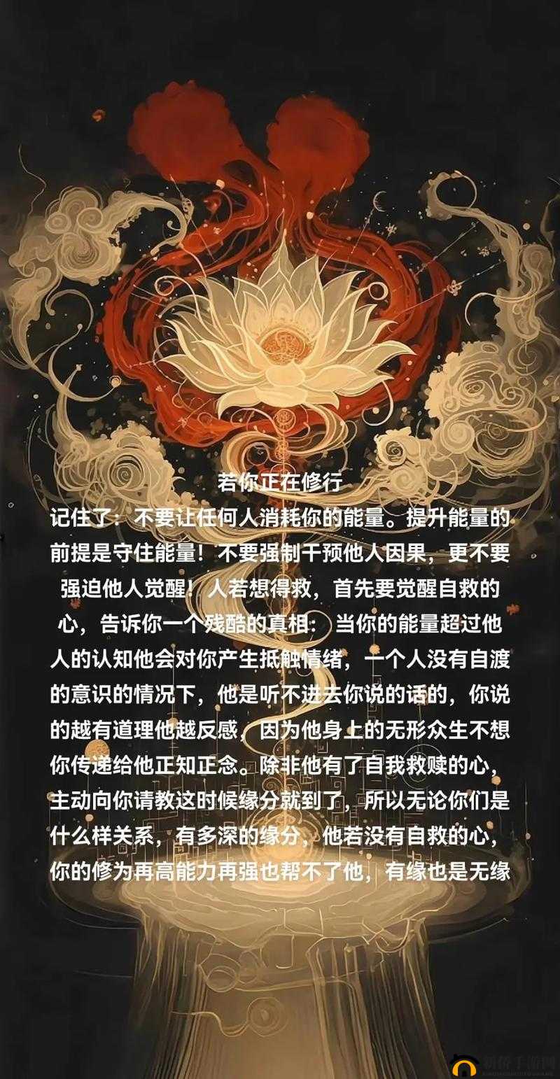 天将传揭秘，掌握资源管理精髓，成就无上强大上仙之路